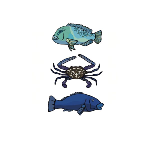 TRUE BLUE SIDE Thumbnail