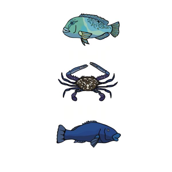 TRUE BLUE INSIDE Thumbnail