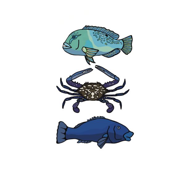 true blue stamp 2 Thumbnail